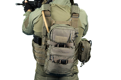 רצועת נשיאה גדולה RHO