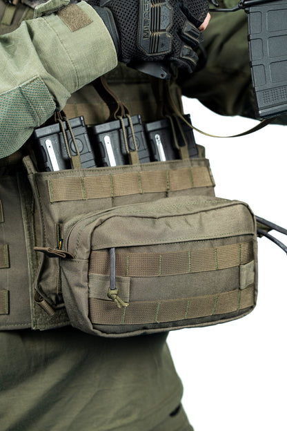 רצועת נשיאה גדולה RHO