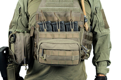 רצועת נשיאה גדולה RHO