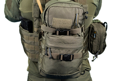 רצועת נשיאה גדולה RHO