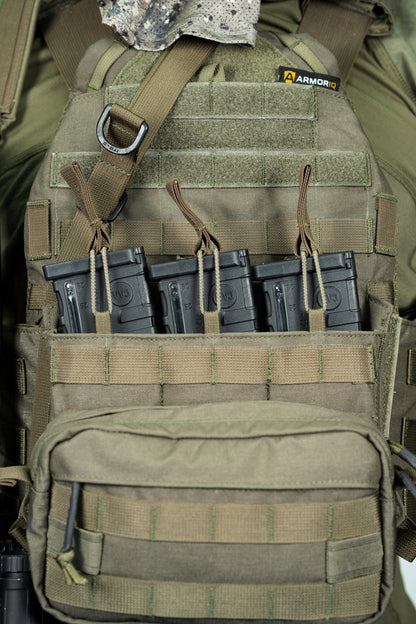 רצועת נשיאה גדולה RHO